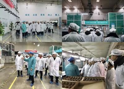 苏宁海信2019西南联动 全员出击，打造家电年货节盛宴